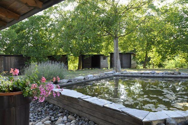 Bed and Breakfast Premiata Osteria Dei Fiori Cortiglione Номер фото